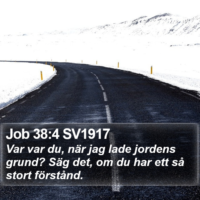 Job 38:4 SV1917 Bible Study