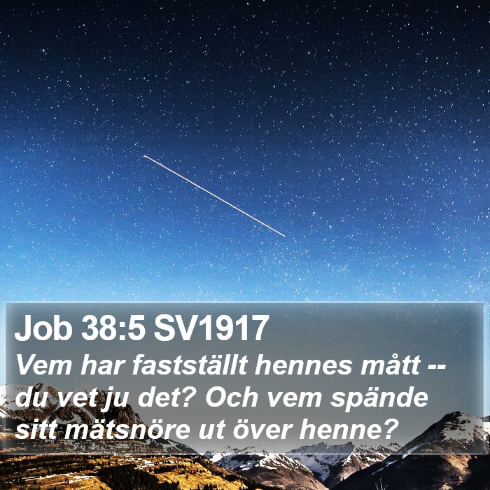 Job 38:5 SV1917 Bible Study