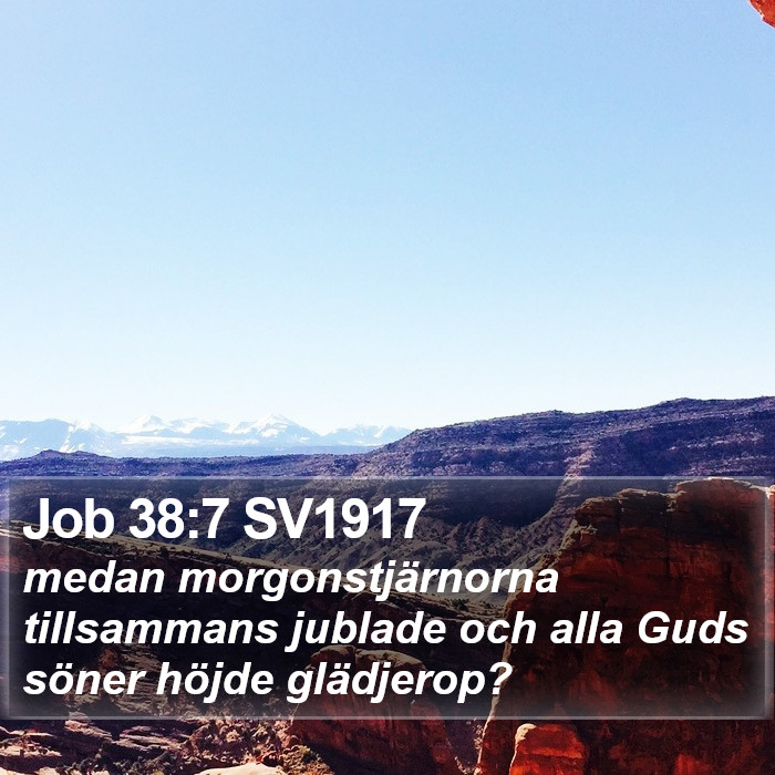 Job 38:7 SV1917 Bible Study