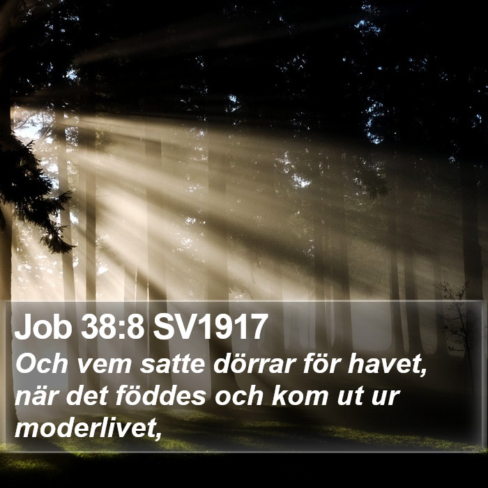 Job 38:8 SV1917 Bible Study