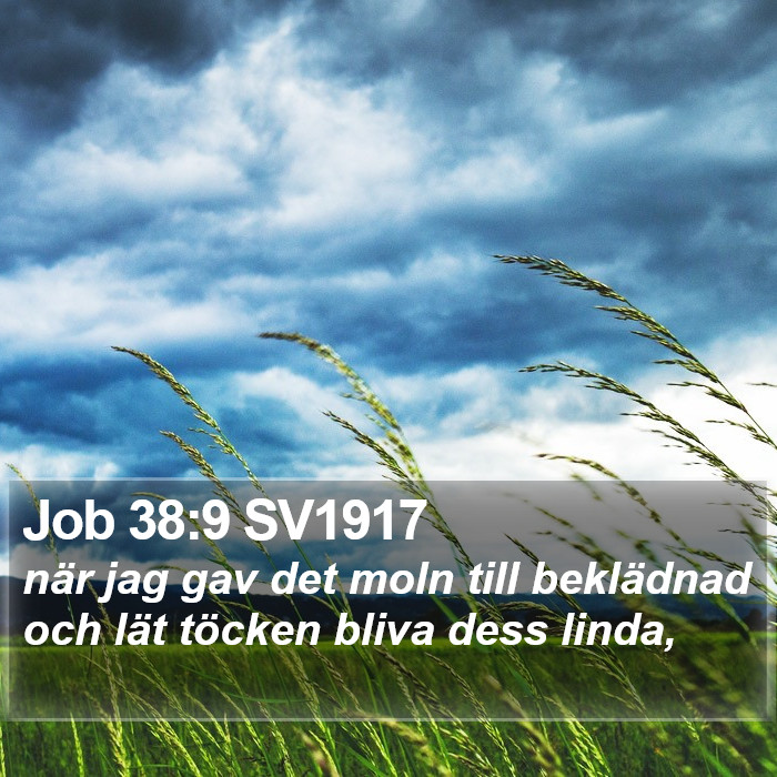 Job 38:9 SV1917 Bible Study