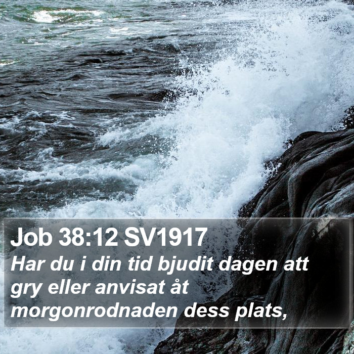 Job 38:12 SV1917 Bible Study