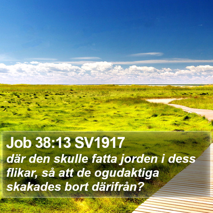 Job 38:13 SV1917 Bible Study