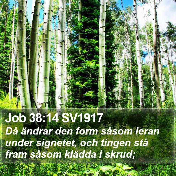 Job 38:14 SV1917 Bible Study