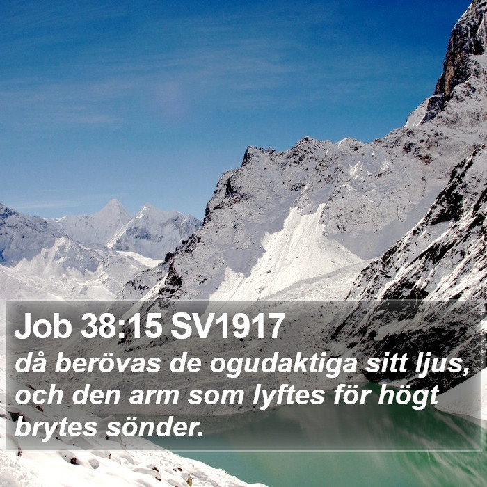 Job 38:15 SV1917 Bible Study