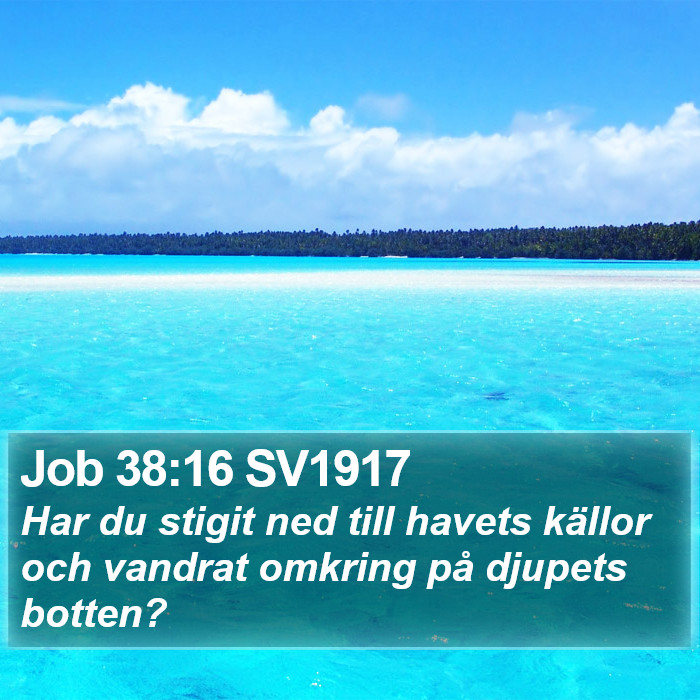 Job 38:16 SV1917 Bible Study