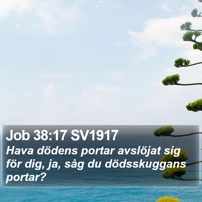 Job 38:17 SV1917 Bible Study