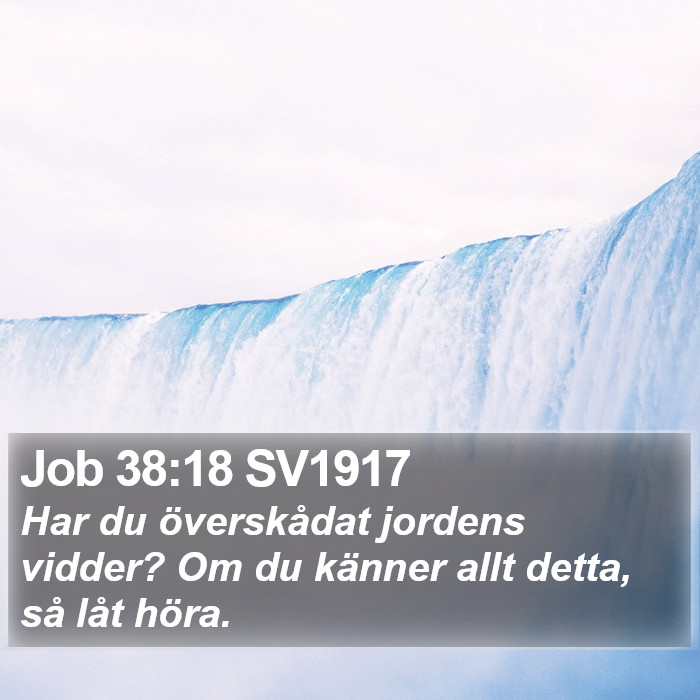 Job 38:18 SV1917 Bible Study