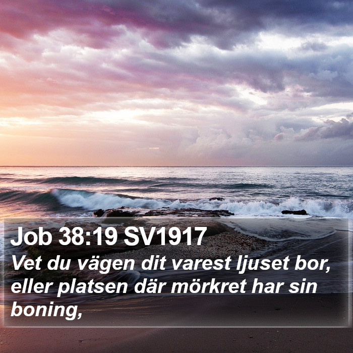 Job 38:19 SV1917 Bible Study