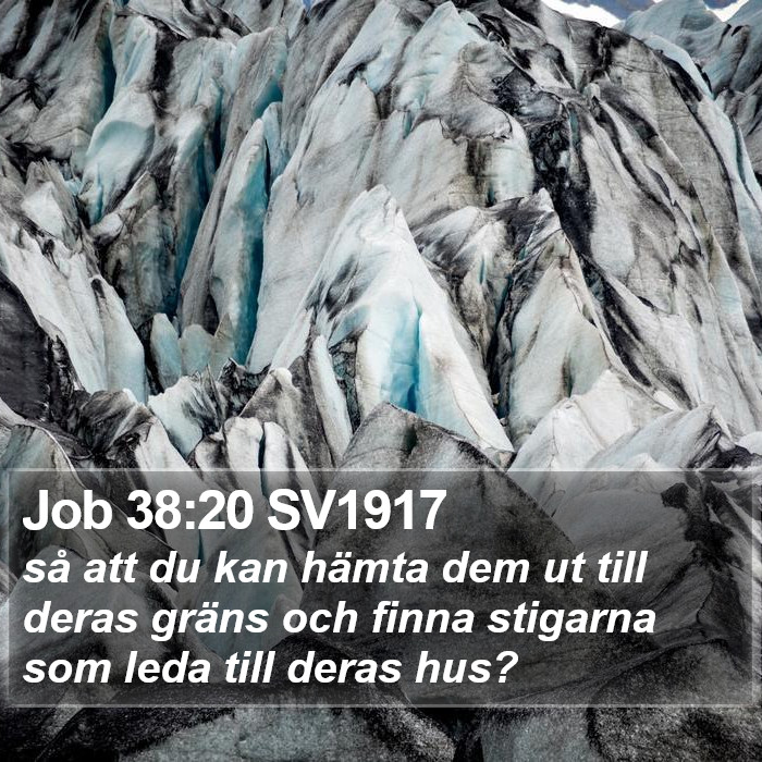 Job 38:20 SV1917 Bible Study