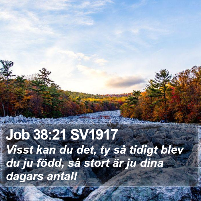 Job 38:21 SV1917 Bible Study