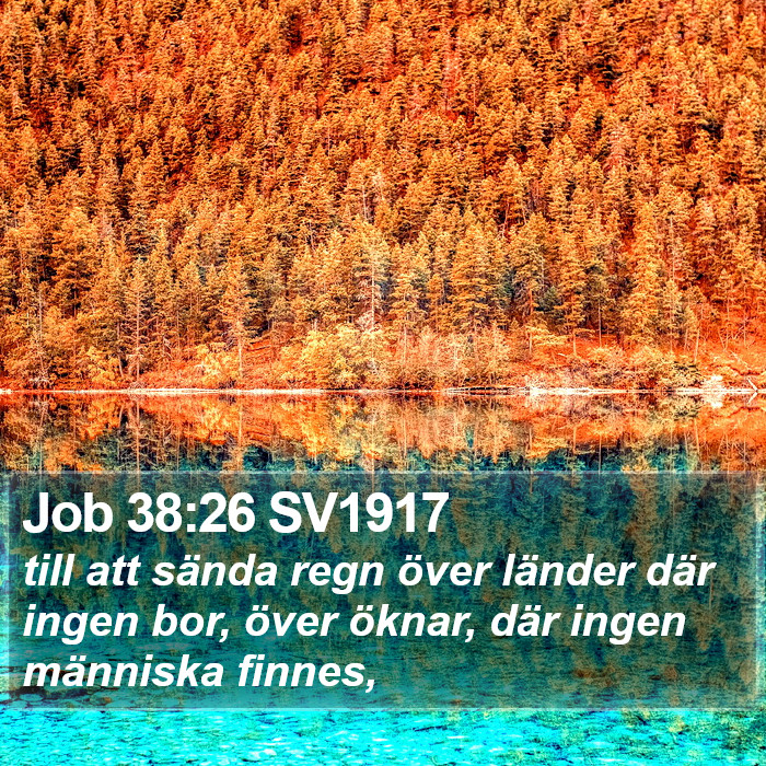 Job 38:26 SV1917 Bible Study