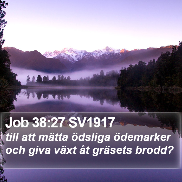 Job 38:27 SV1917 Bible Study