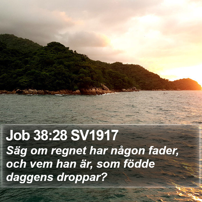 Job 38:28 SV1917 Bible Study