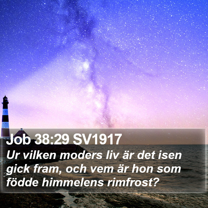 Job 38:29 SV1917 Bible Study