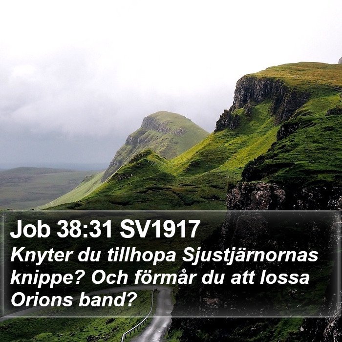 Job 38:31 SV1917 Bible Study