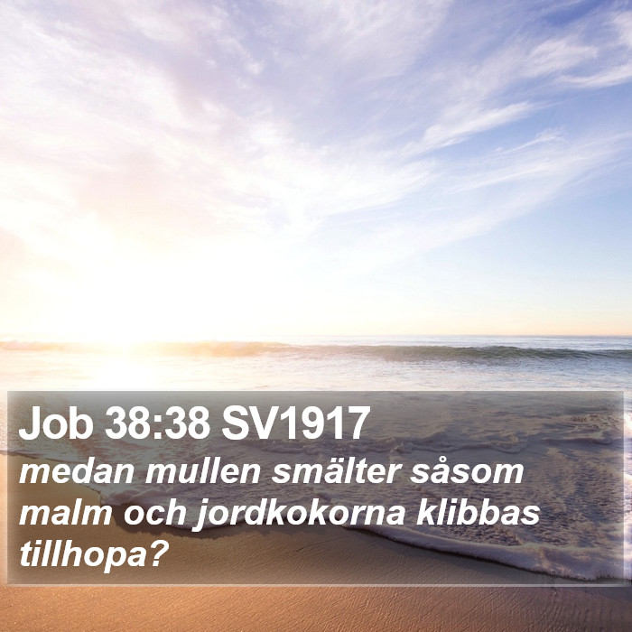 Job 38:38 SV1917 Bible Study