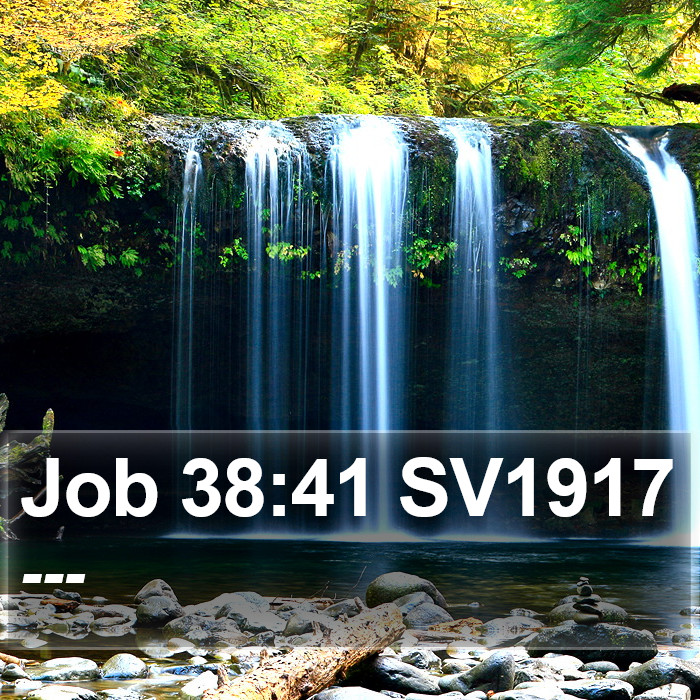 Job 38:41 SV1917 Bible Study