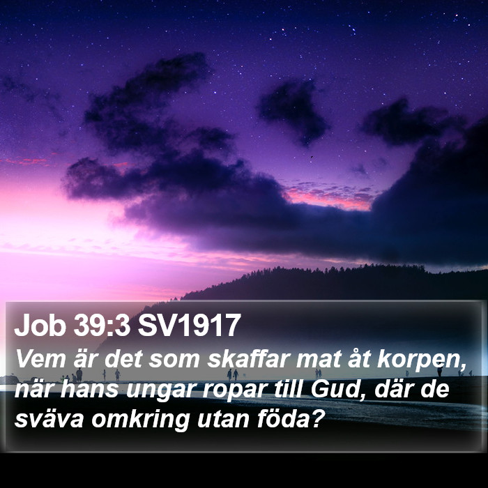 Job 39:3 SV1917 Bible Study