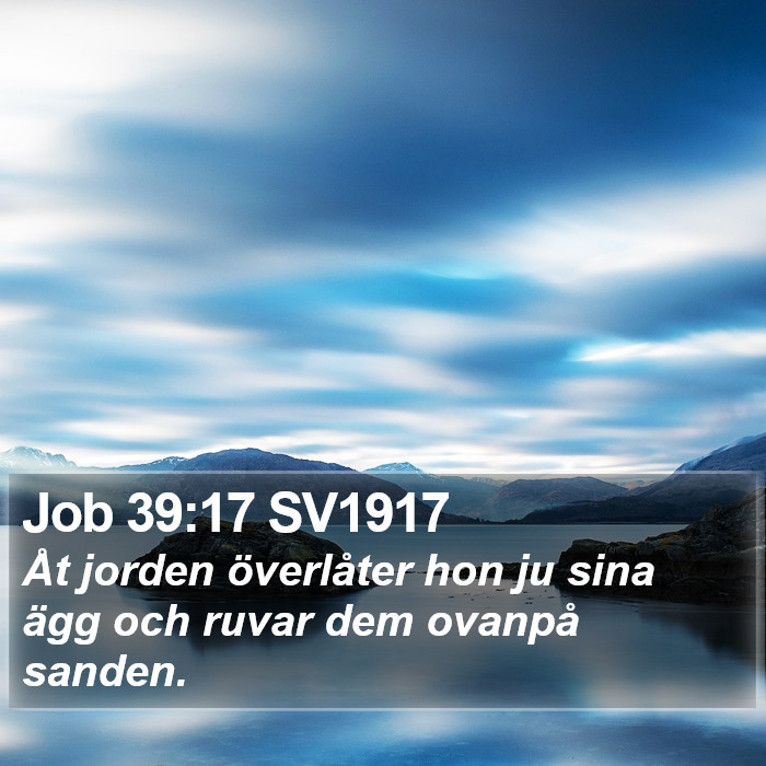 Job 39:17 SV1917 Bible Study