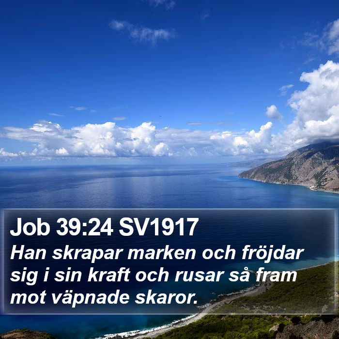 Job 39:24 SV1917 Bible Study