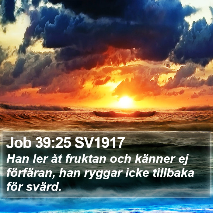 Job 39:25 SV1917 Bible Study