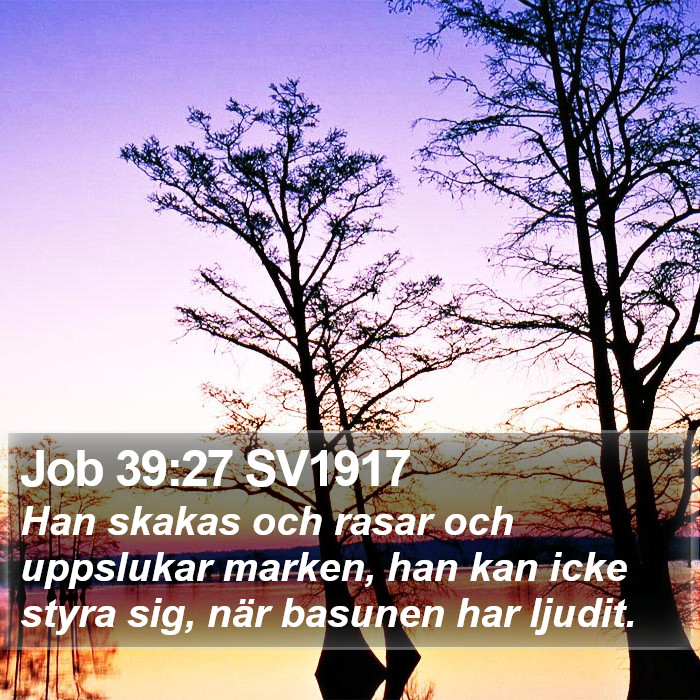 Job 39:27 SV1917 Bible Study