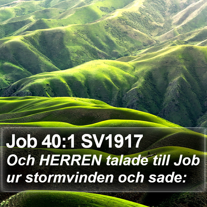 Job 40:1 SV1917 Bible Study