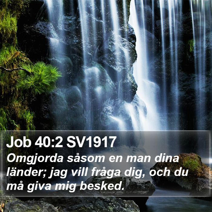 Job 40:2 SV1917 Bible Study