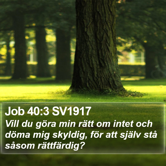 Job 40:3 SV1917 Bible Study