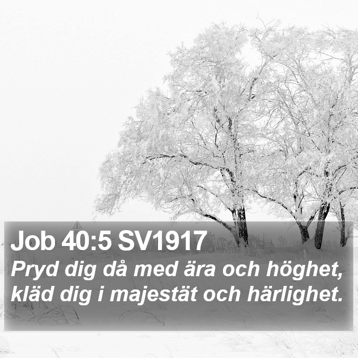 Job 40:5 SV1917 Bible Study