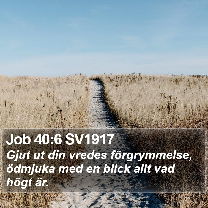 Job 40:6 SV1917 Bible Study