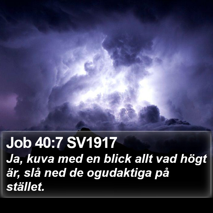 Job 40:7 SV1917 Bible Study