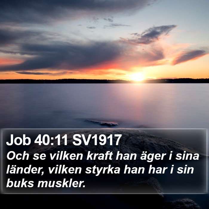 Job 40:11 SV1917 Bible Study