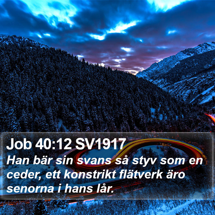 Job 40:12 SV1917 Bible Study