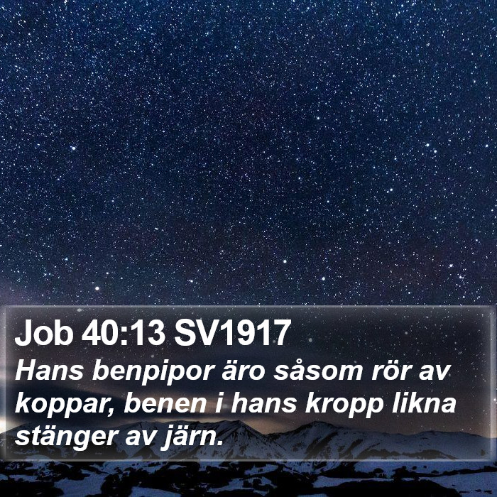 Job 40:13 SV1917 Bible Study