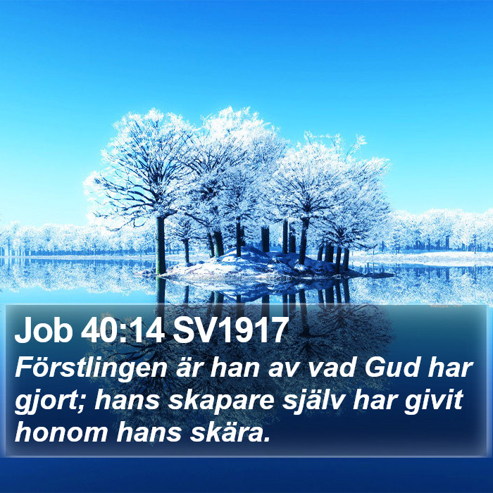 Job 40:14 SV1917 Bible Study