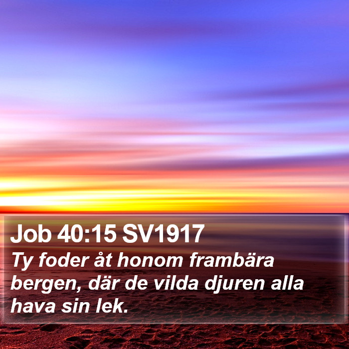 Job 40:15 SV1917 Bible Study