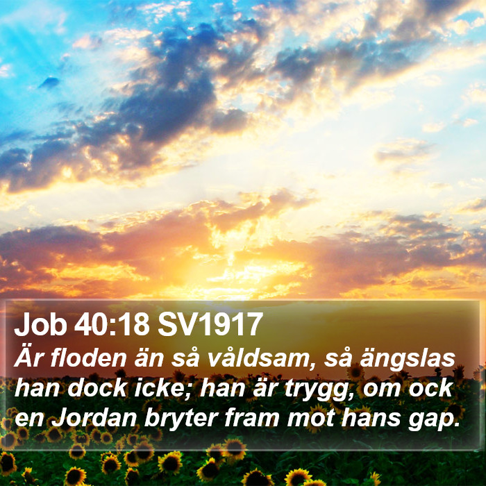 Job 40:18 SV1917 Bible Study