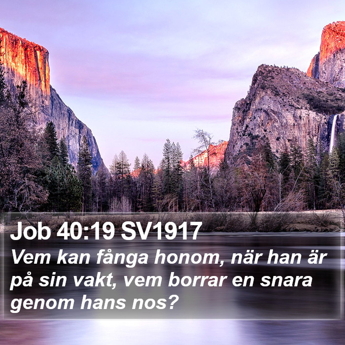 Job 40:19 SV1917 Bible Study