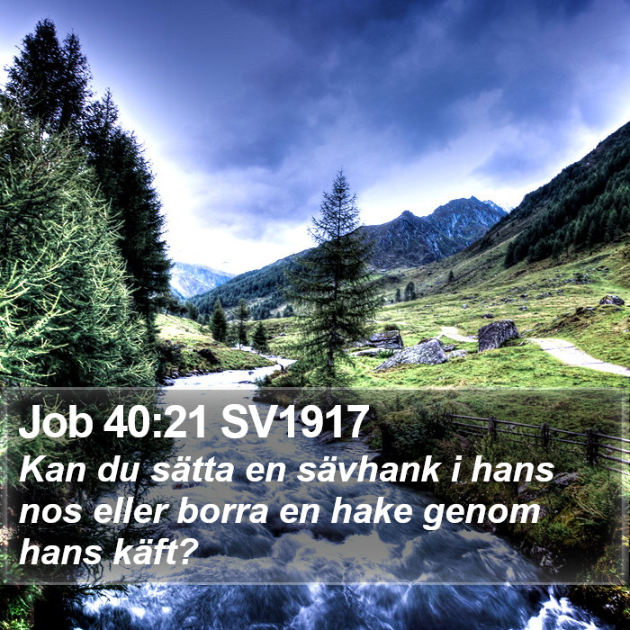 Job 40:21 SV1917 Bible Study