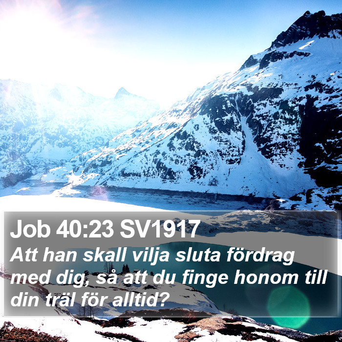 Job 40:23 SV1917 Bible Study