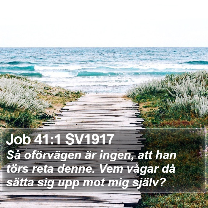 Job 41:1 SV1917 Bible Study