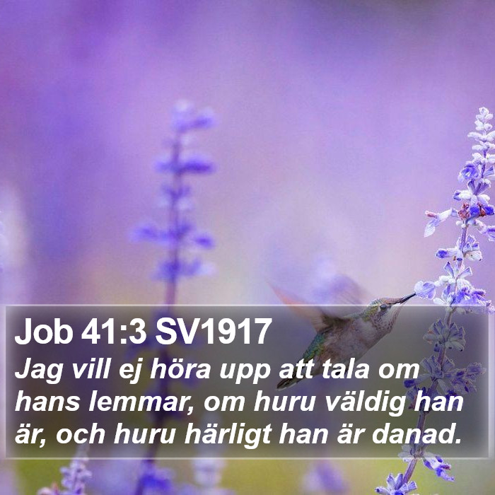 Job 41:3 SV1917 Bible Study