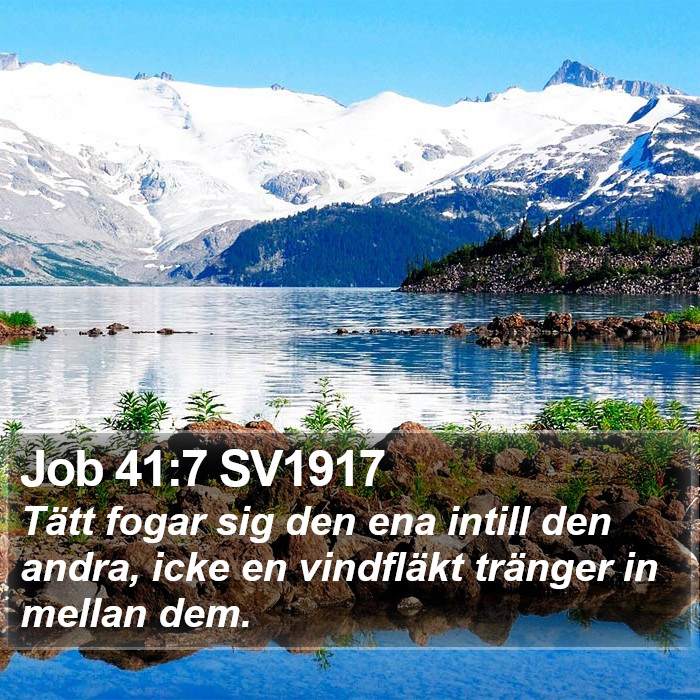 Job 41:7 SV1917 Bible Study