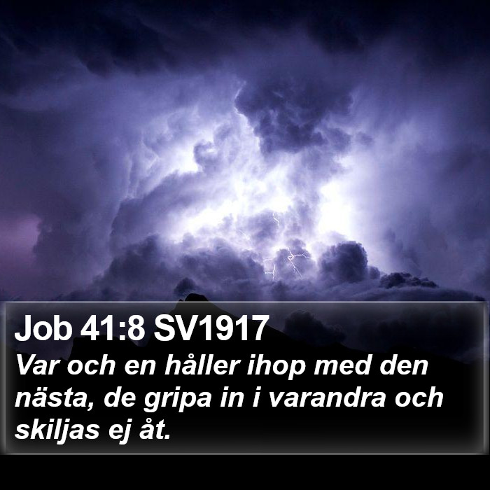 Job 41:8 SV1917 Bible Study