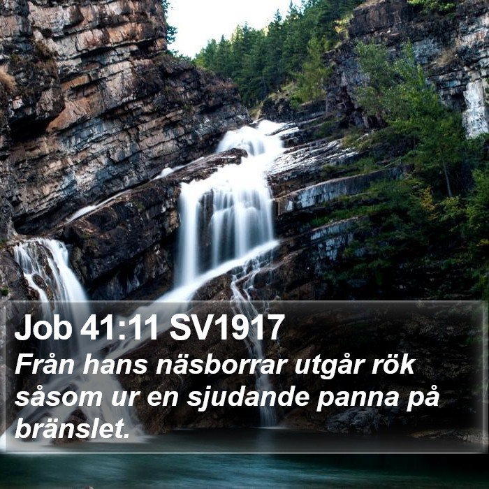 Job 41:11 SV1917 Bible Study