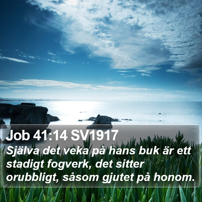 Job 41:14 SV1917 Bible Study