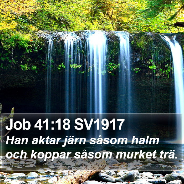 Job 41:18 SV1917 Bible Study