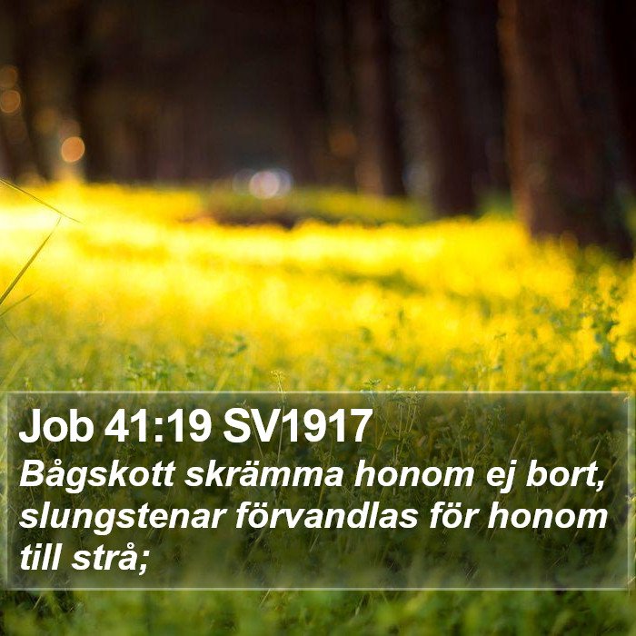 Job 41:19 SV1917 Bible Study